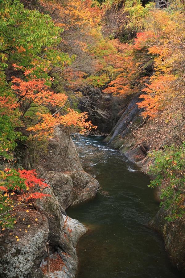 湯瀬渓谷の紅葉