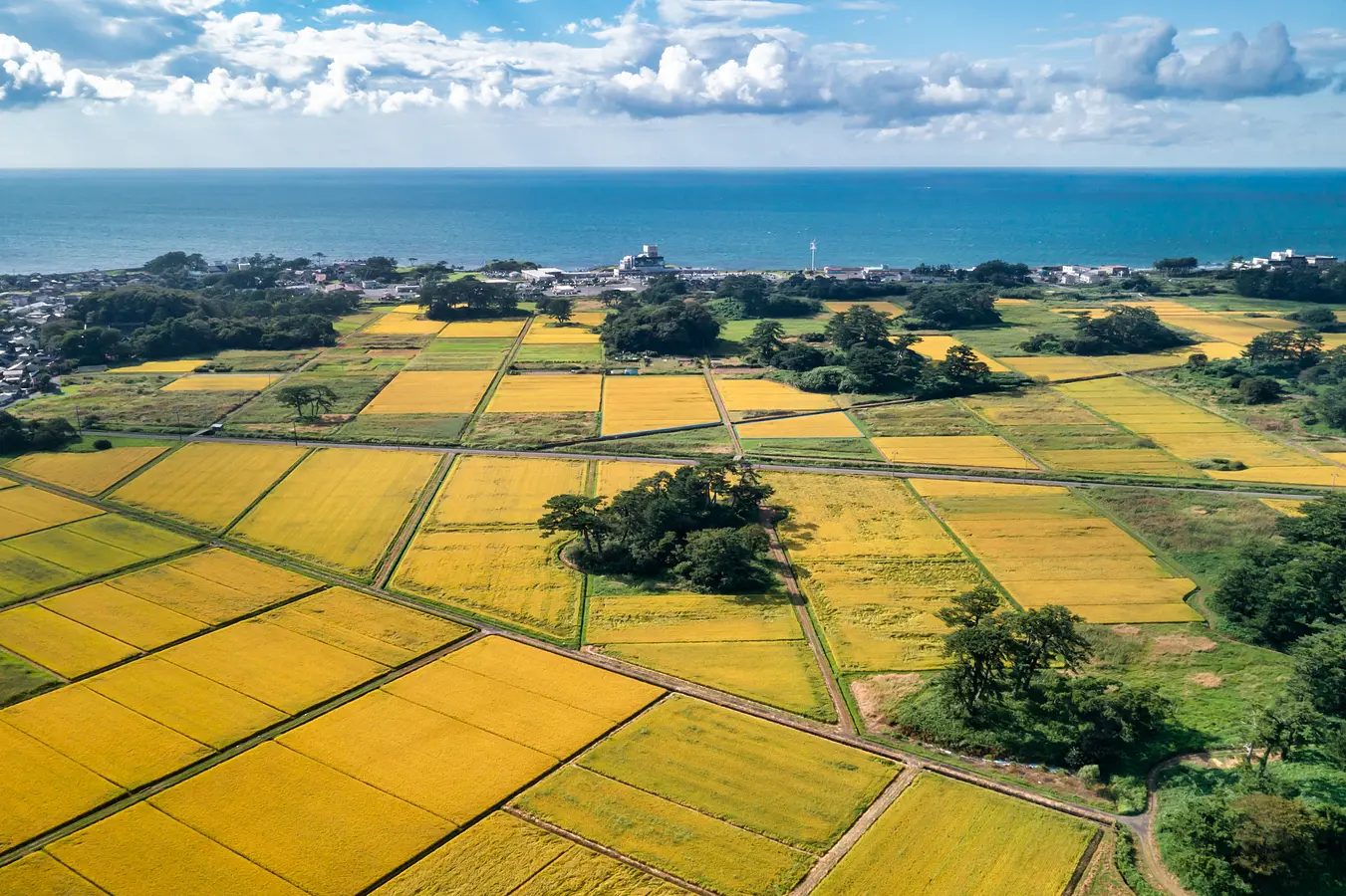 08九十九島