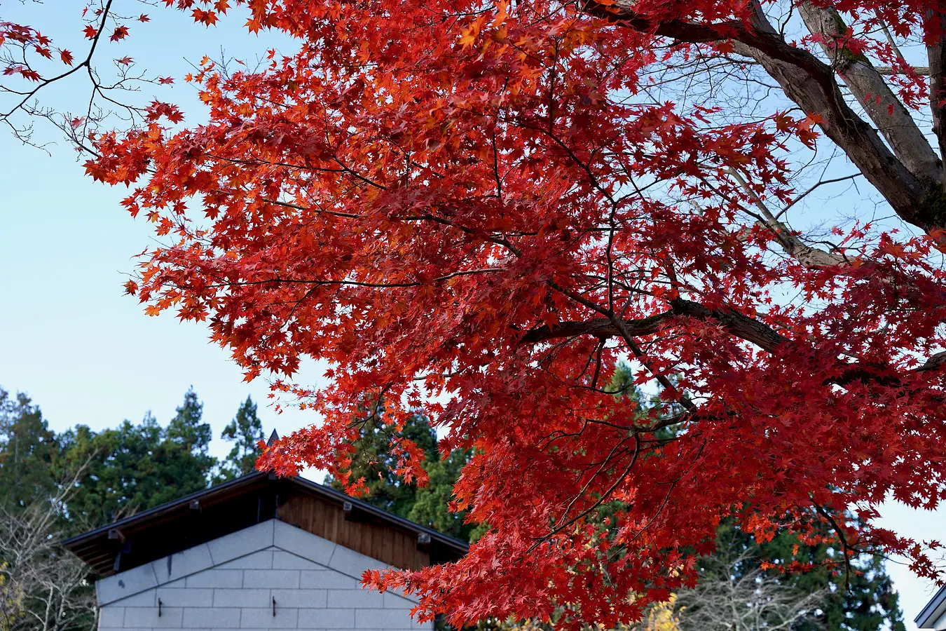 02旧本郷家住宅