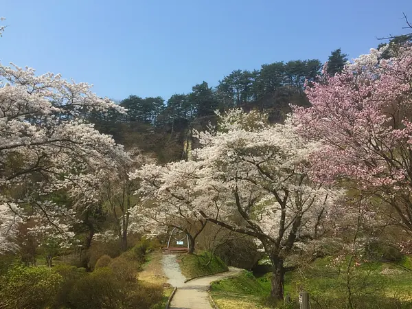 きみまち阪県立自然公園