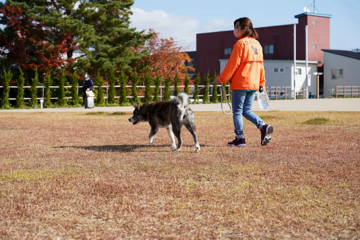 秋田犬の里