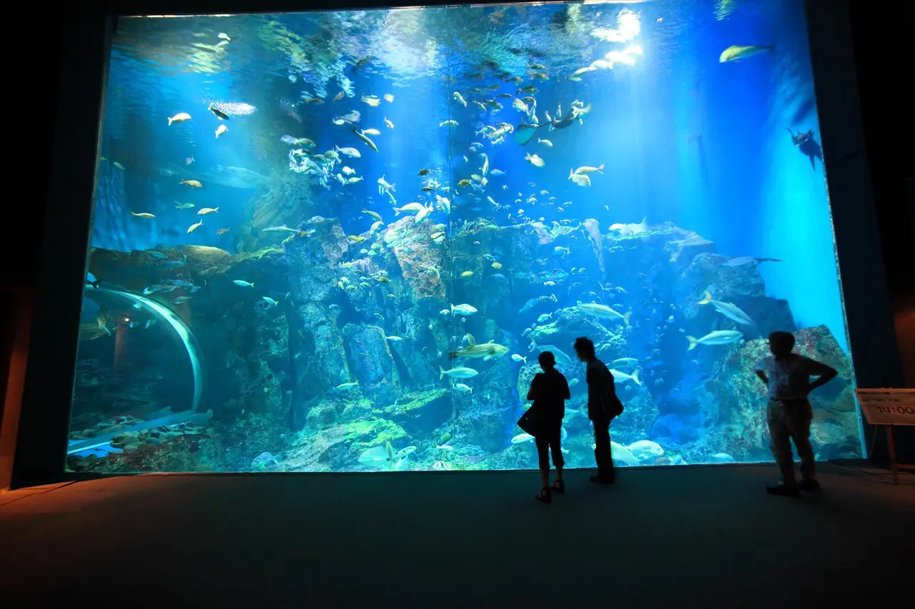 男鹿水族館GAO