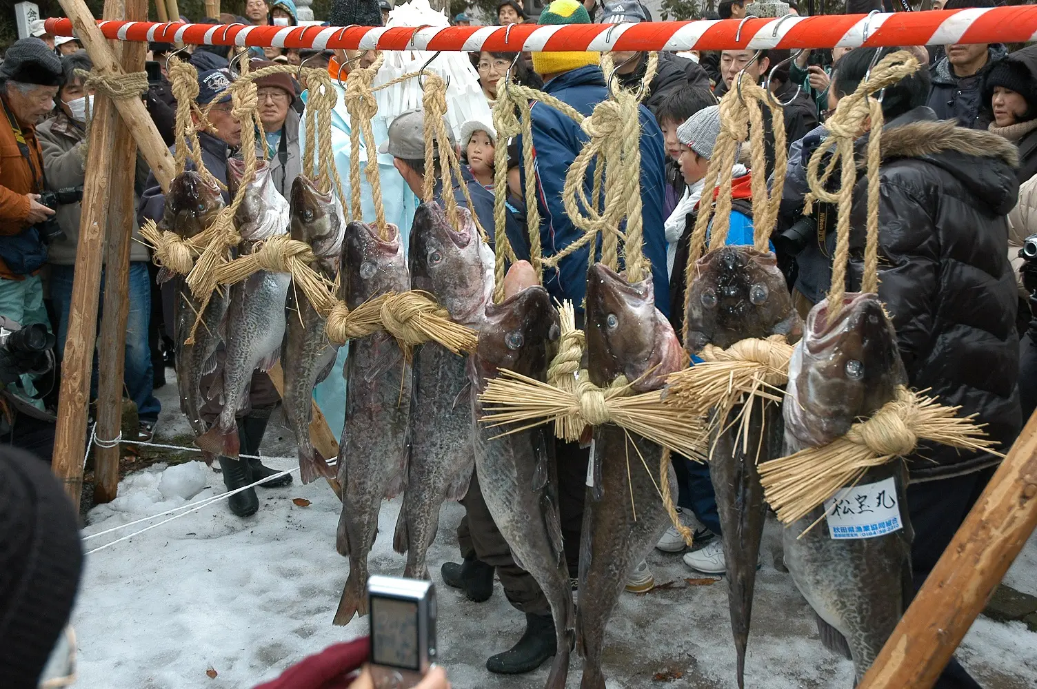 掛魚まつり（別名たら祭り）