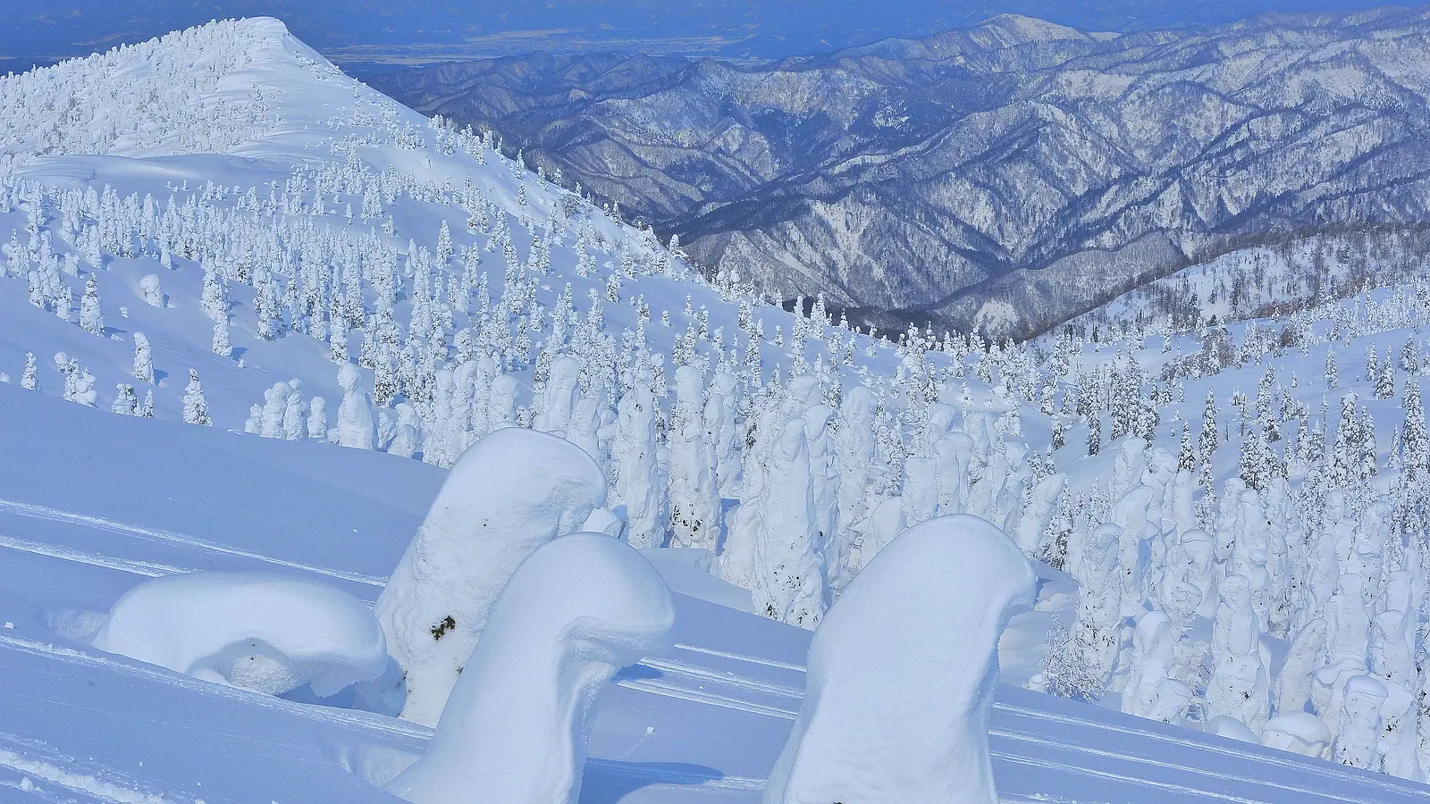 ローカル線で行く花の百名山・森吉山　絶景秋田旅 | ブランニューアキタ | アキタファン