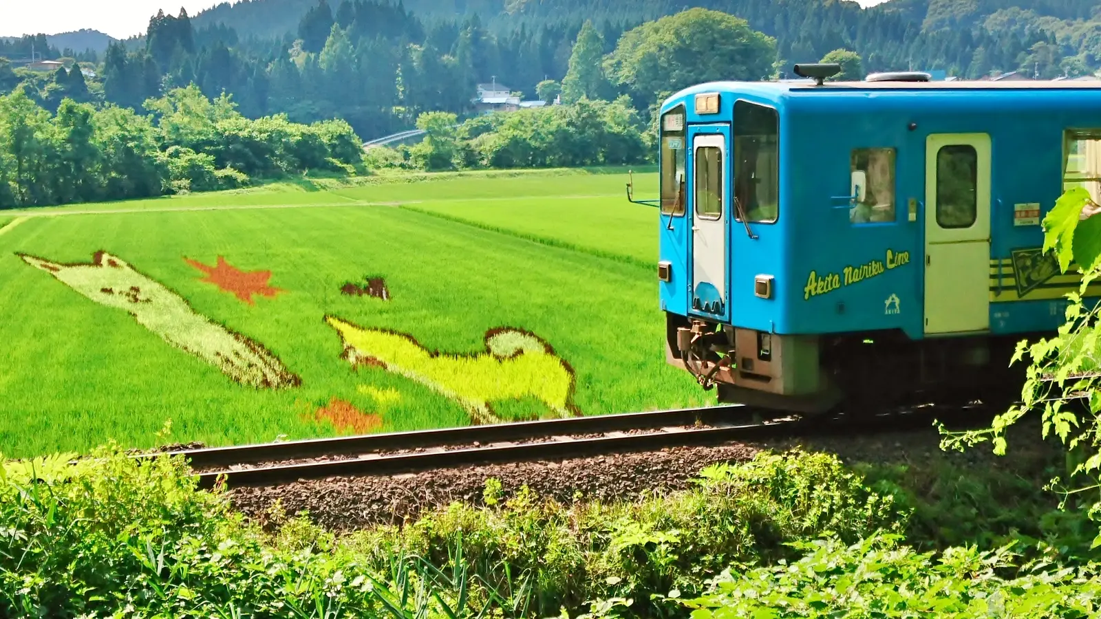 ローカル線で行く花の百名山・森吉山　絶景秋田旅 | ブランニューアキタ | アキタファン