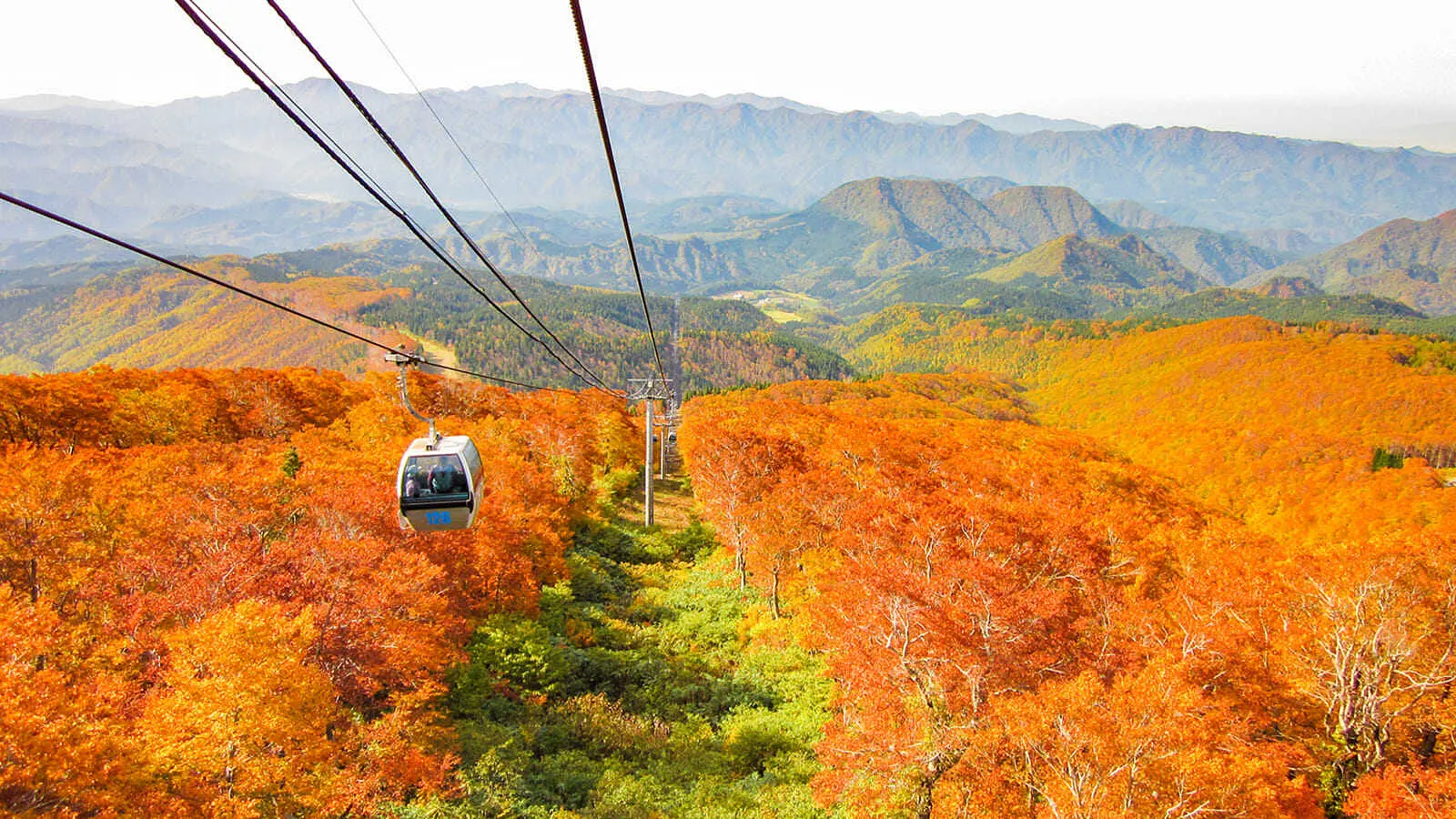 ローカル線で行く花の百名山・森吉山　絶景秋田旅 | ブランニューアキタ | アキタファン