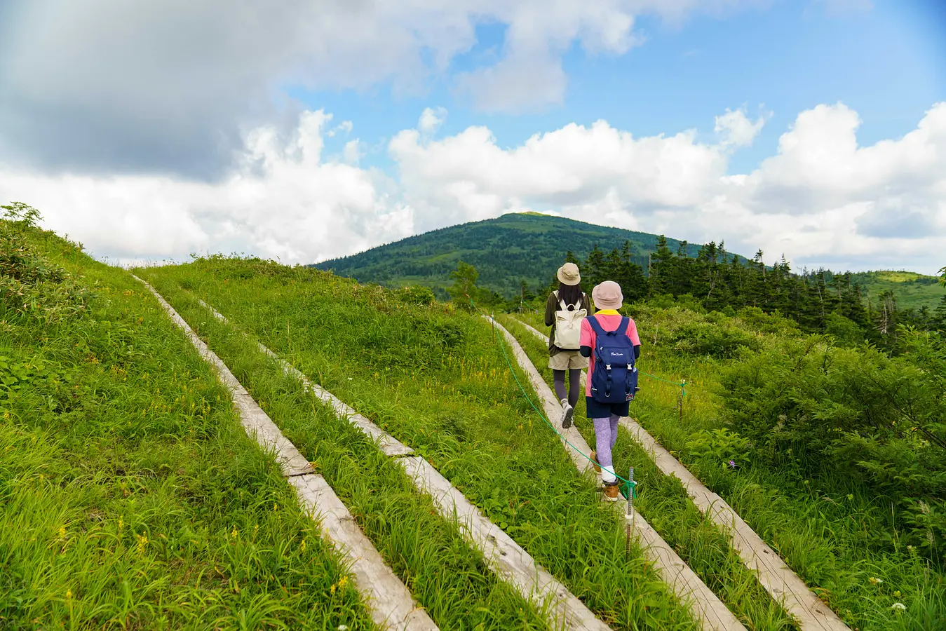 ローカル線で行く花の百名山・森吉山　絶景秋田旅 | ブランニューアキタ | アキタファン