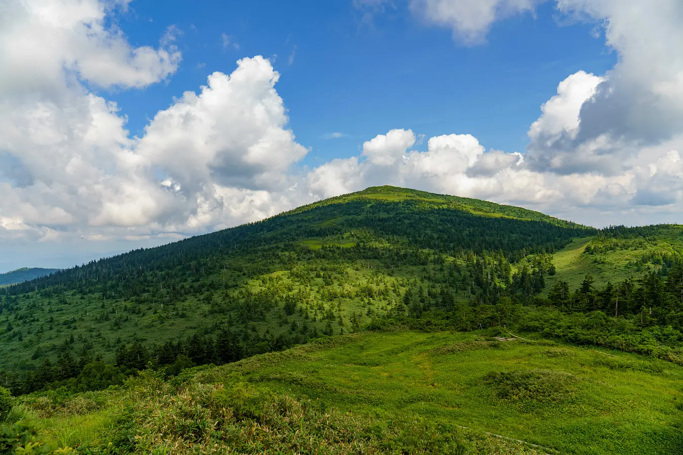 ローカル線で行く花の百名山・森吉山　絶景秋田旅 | ブランニューアキタ | アキタファン