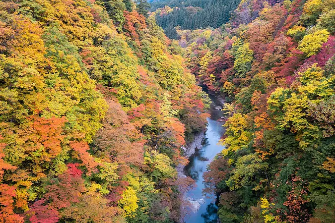 小安峡の紅葉