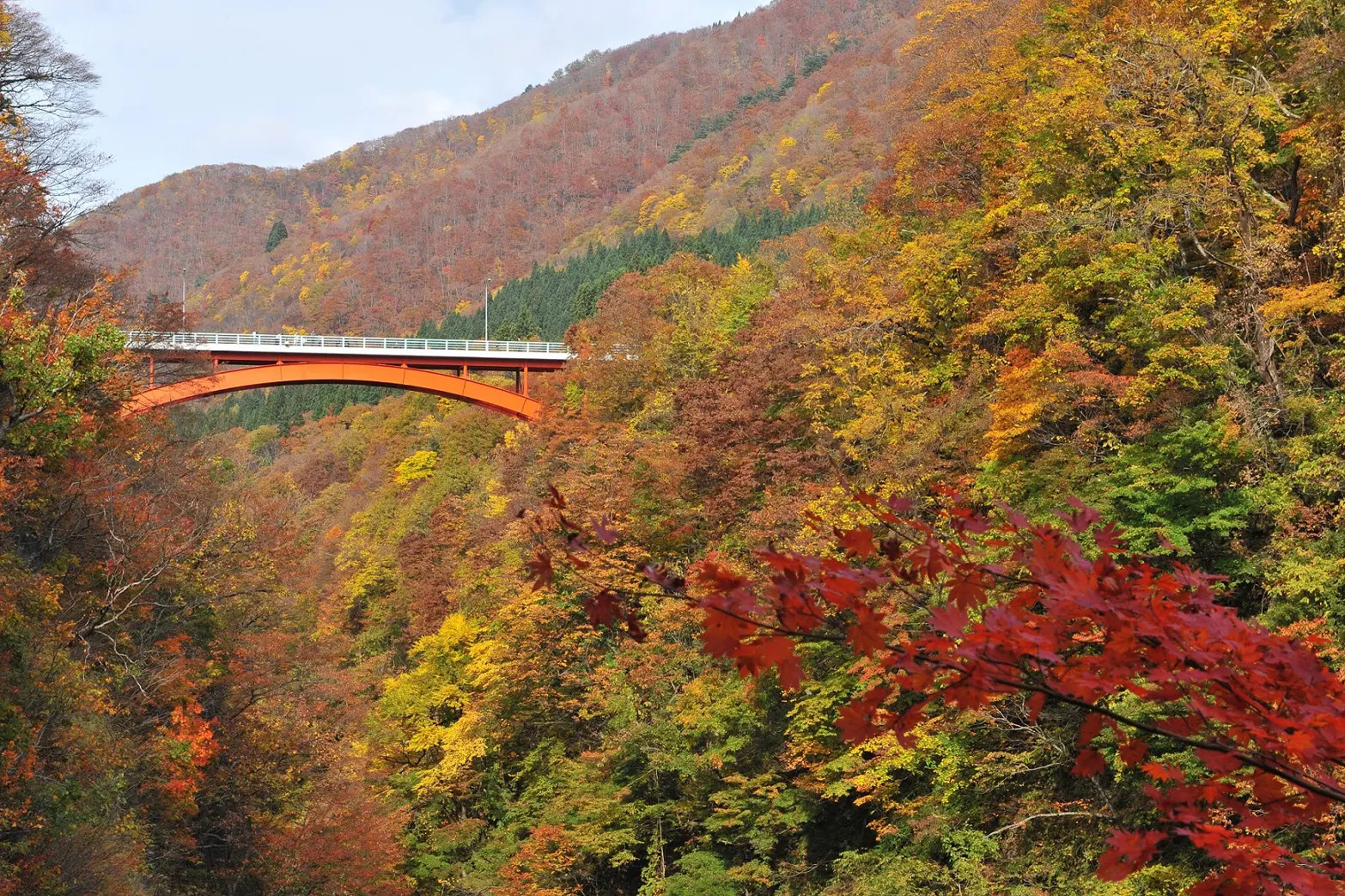 小安峡の紅葉