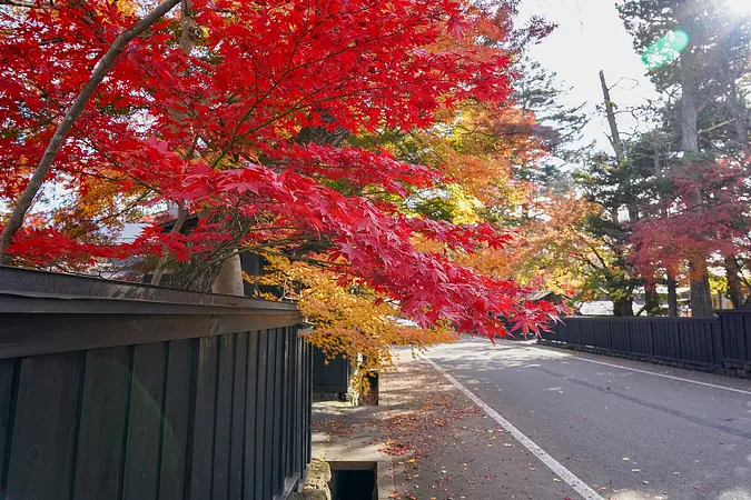 角館の武家屋敷通りの紅葉