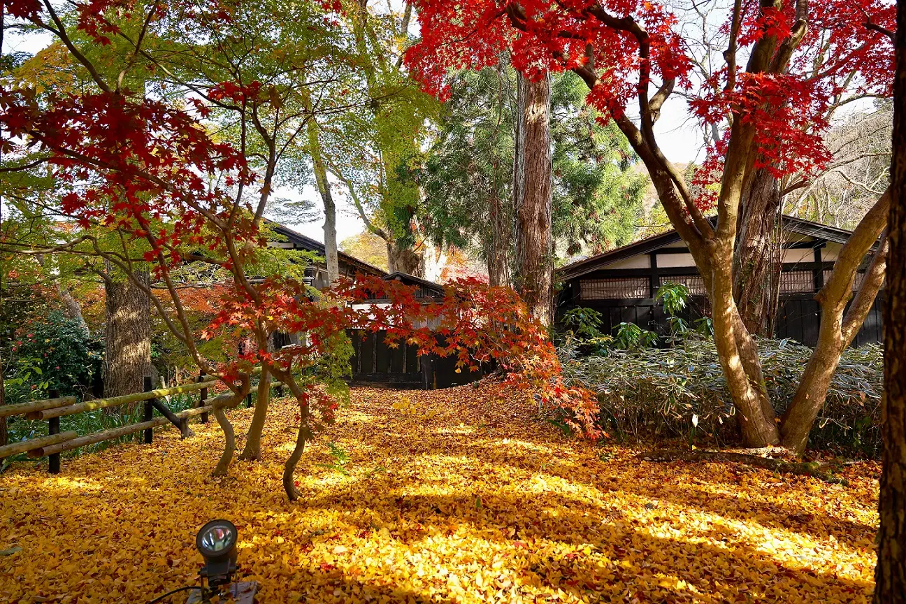 角館の武家屋敷通りの紅葉