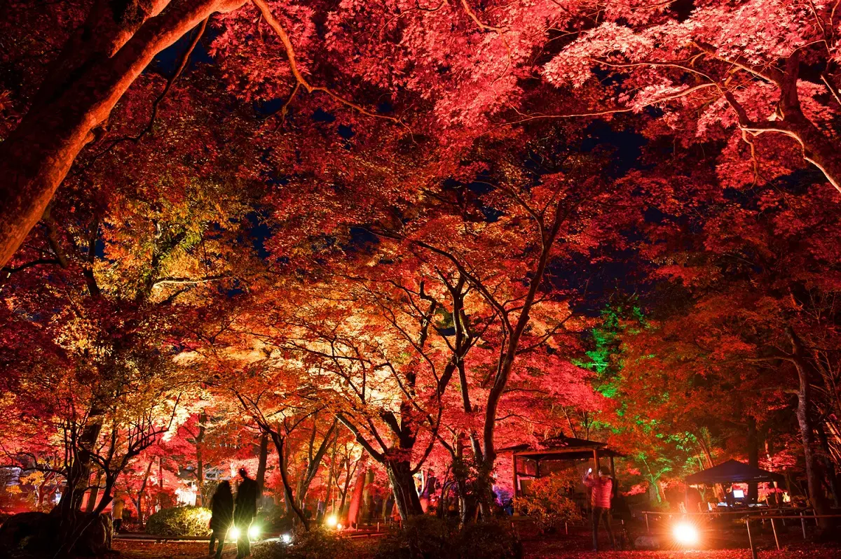 旧池田氏庭園・旧池田氏（払田分家）庭園の紅葉