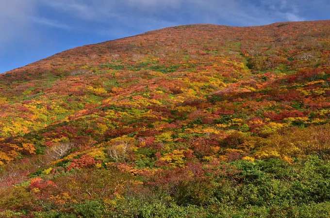 栗駒山の紅葉