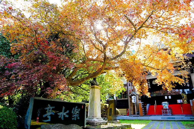 大龍寺の紅葉