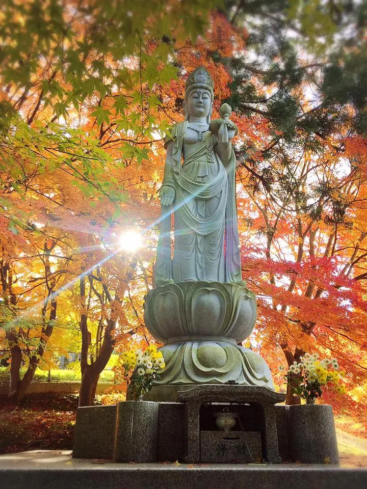 大龍寺の紅葉