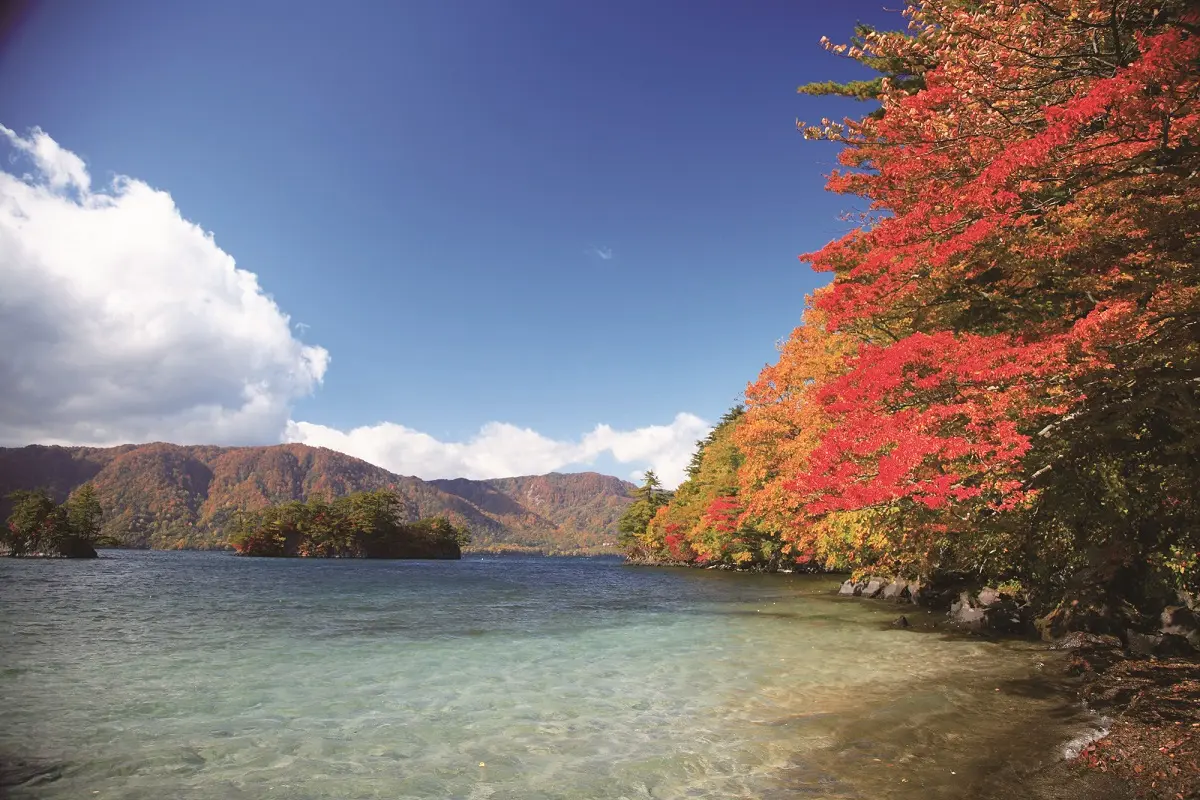 十和田湖の紅葉