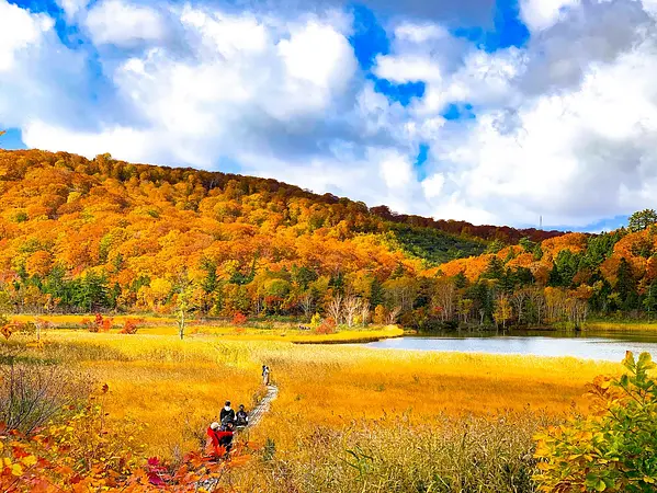 八幡平の紅葉