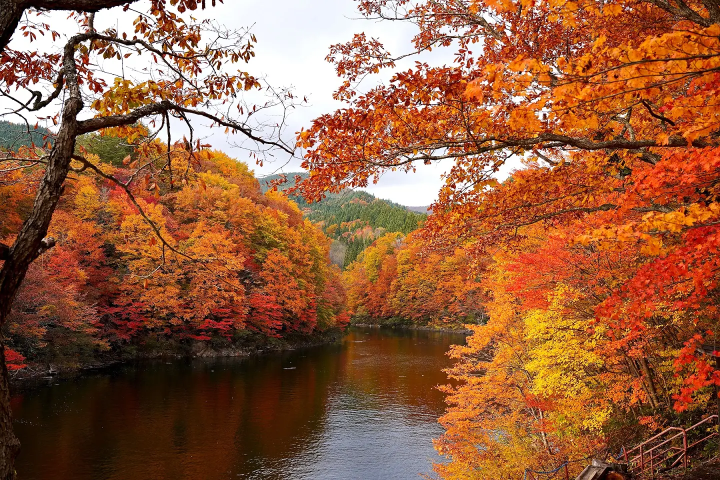 太平湖・小又峡の紅葉