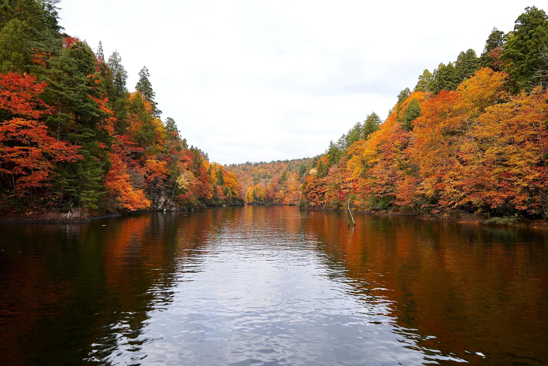 太平湖・小又峡の紅葉