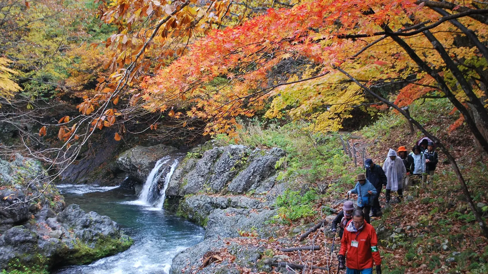 真瀬渓谷の紅葉