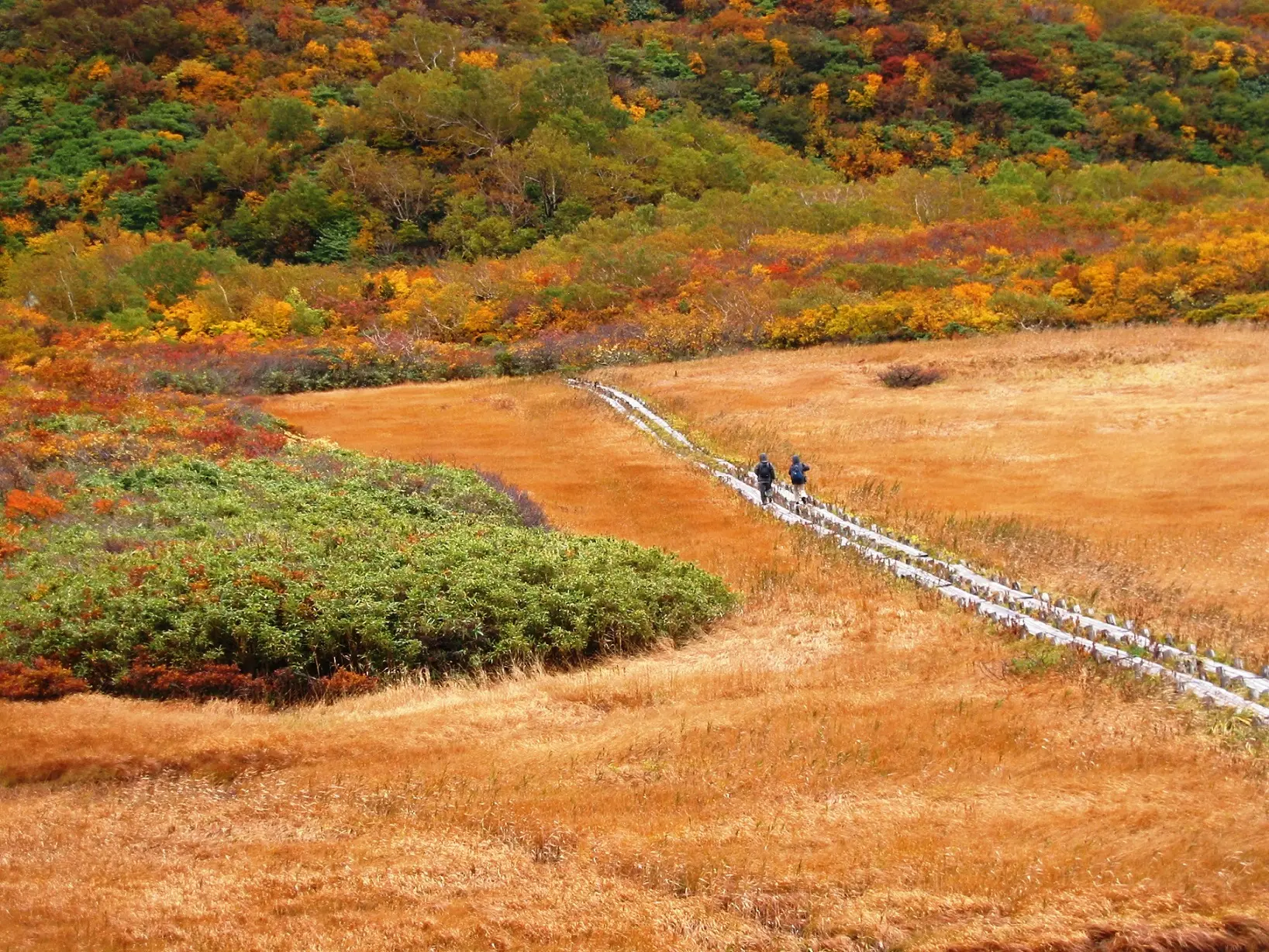 鳥海山　矢島口（祓川）