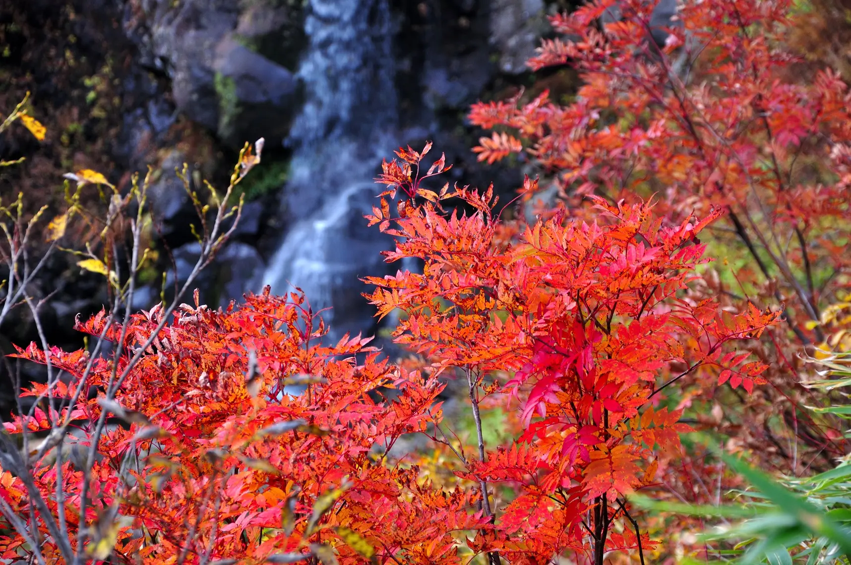 鳥海山　矢島口（祓川）