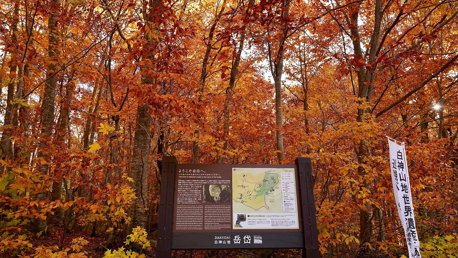 秋田の紅葉めぐり。世界遺産に文化財、秋の絶景特集！ | ブランニューアキタ | アキタファン