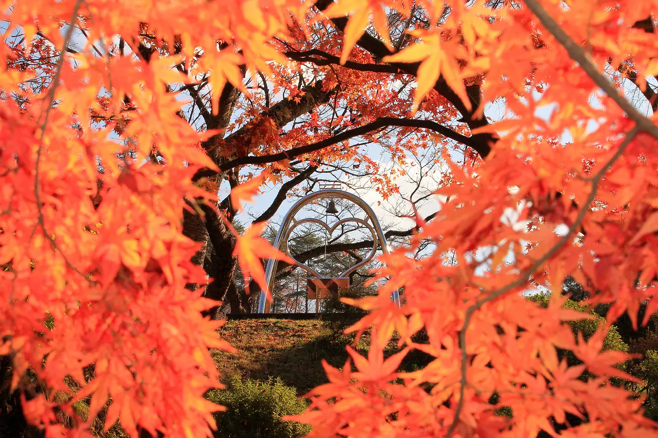 秋田の紅葉めぐり。世界遺産に文化財、秋の絶景特集！ | ブランニューアキタ | アキタファン