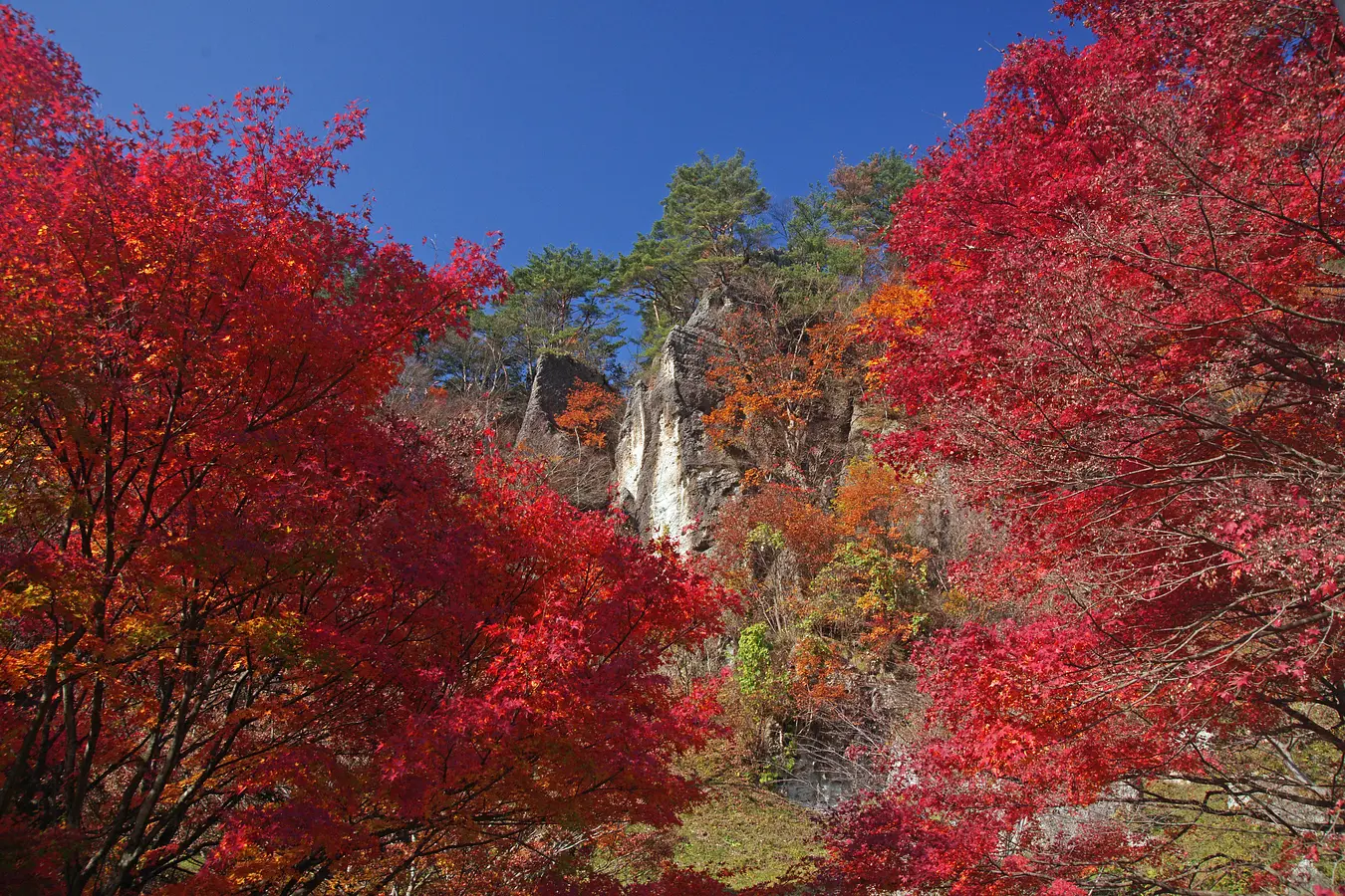 秋田の紅葉めぐり。世界遺産に文化財、秋の絶景特集！ | ブランニューアキタ | アキタファン