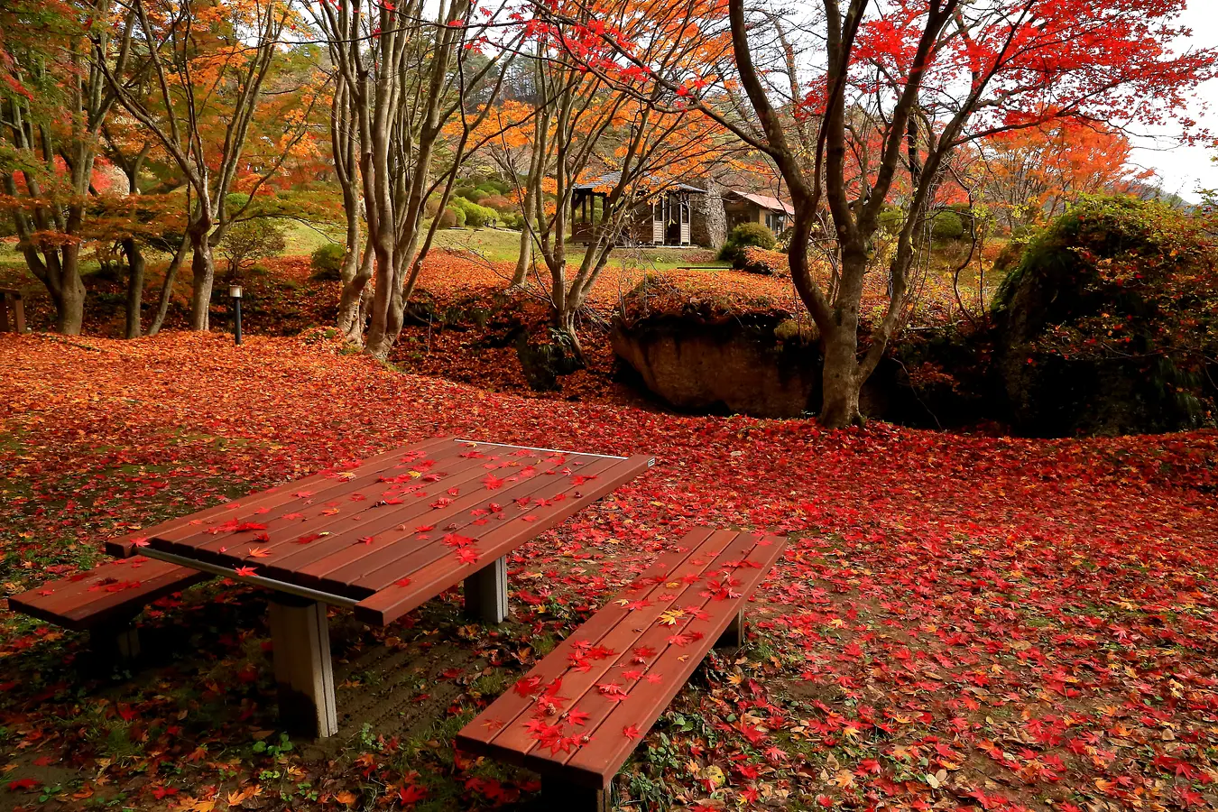 秋田の紅葉めぐり。世界遺産に文化財、秋の絶景特集！ | ブランニューアキタ | アキタファン