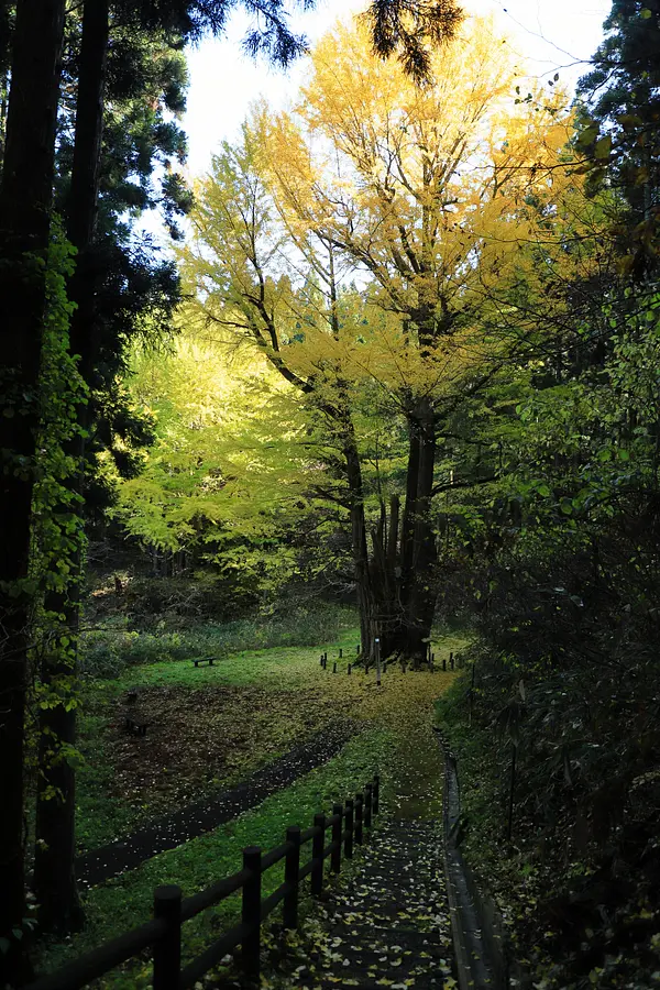 秋田の紅葉めぐり。世界遺産に文化財、秋の絶景特集！ | ブランニューアキタ | アキタファン