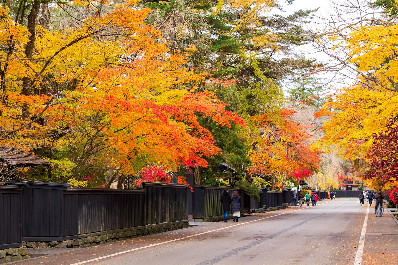 秋田の紅葉めぐり。世界遺産に文化財、秋の絶景特集！ | ブランニューアキタ | アキタファン