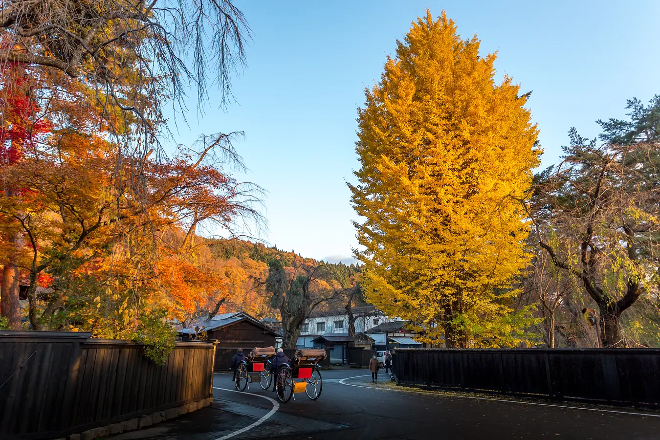 秋田の紅葉めぐり。世界遺産に文化財、秋の絶景特集！ | ブランニューアキタ | アキタファン