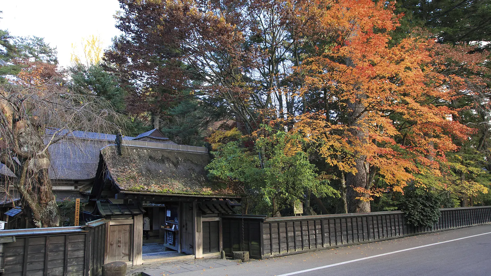 秋田の紅葉めぐり。世界遺産に文化財、秋の絶景特集！ | ブランニューアキタ | アキタファン