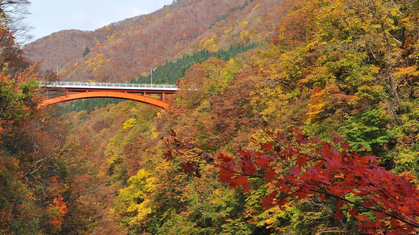 秋田の紅葉めぐり。世界遺産に文化財、秋の絶景特集！ | ブランニューアキタ | アキタファン