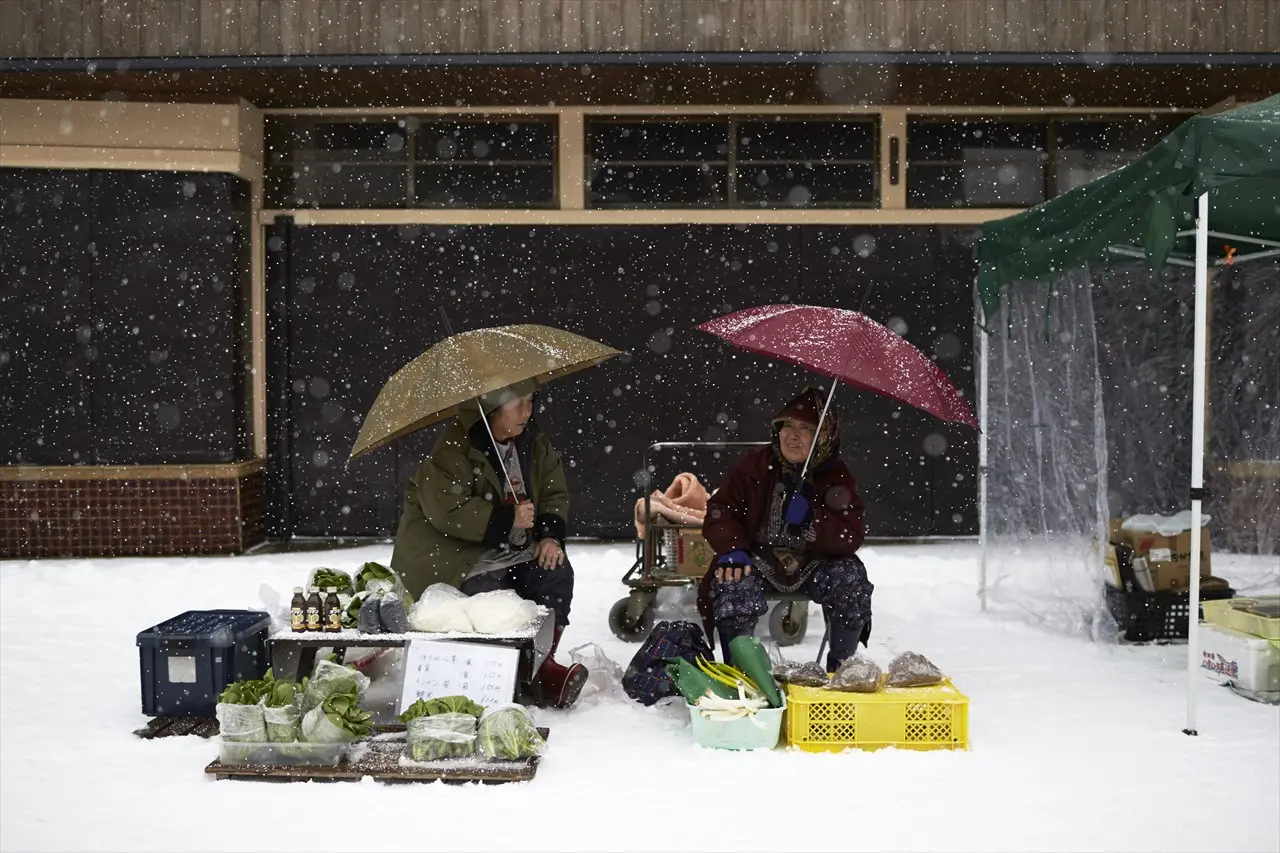 五城目朝市