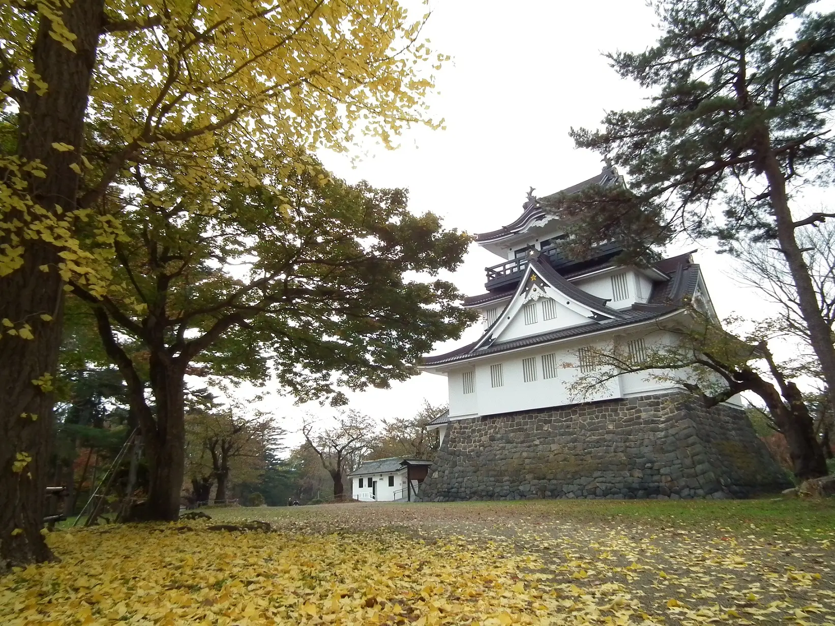 横手公園