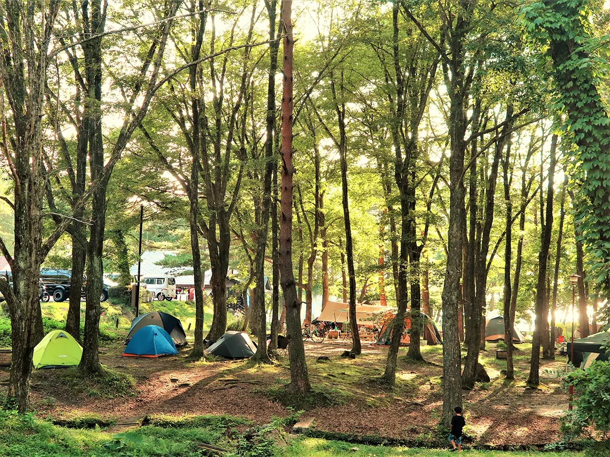 田沢湖キャンプ場