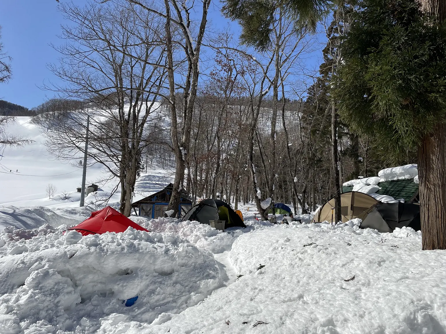 とことん山キャンプ場