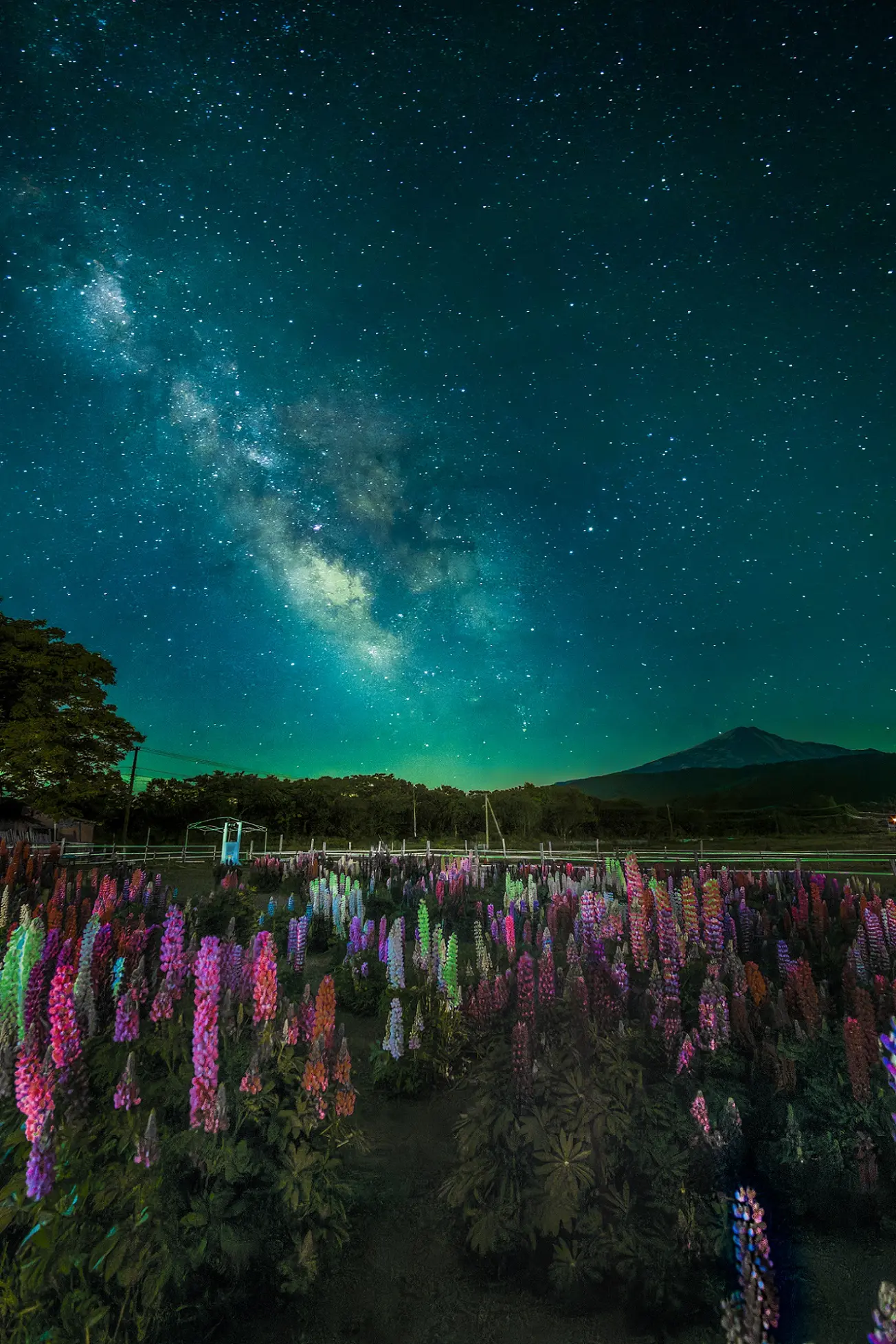 花立牧場公園