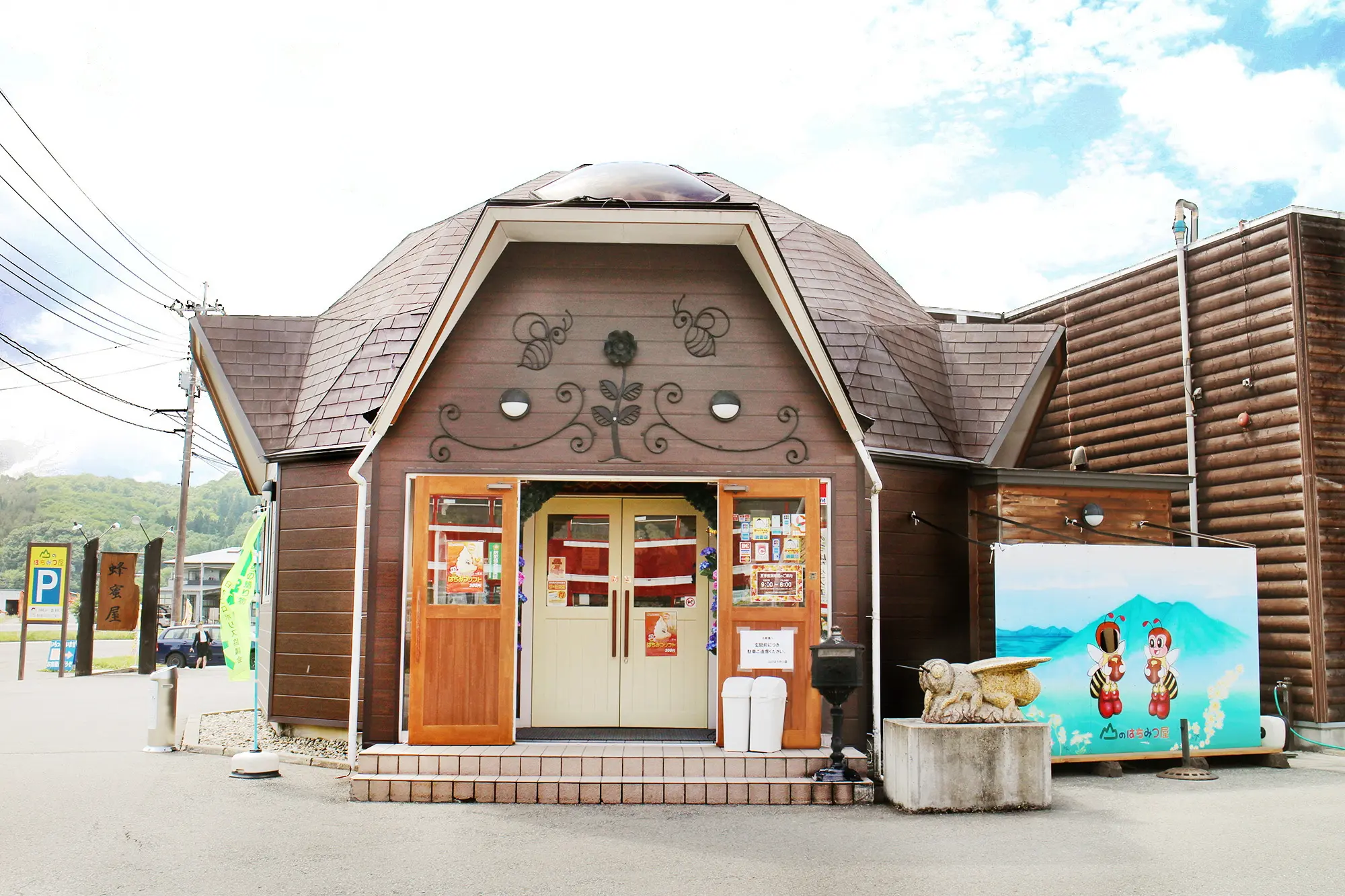 活動歴および当時の関連ビジュアル記録