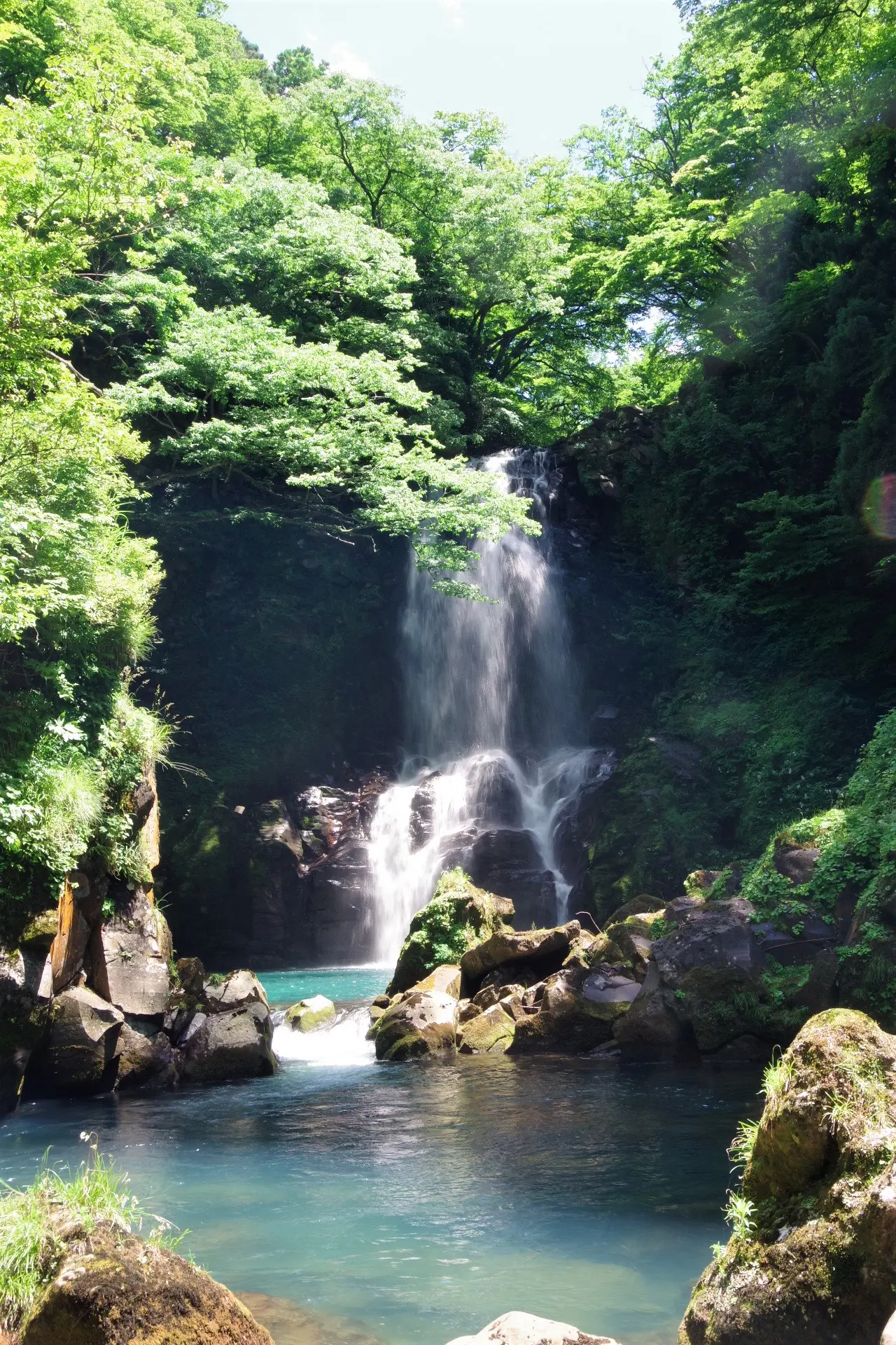 奈曽の白滝