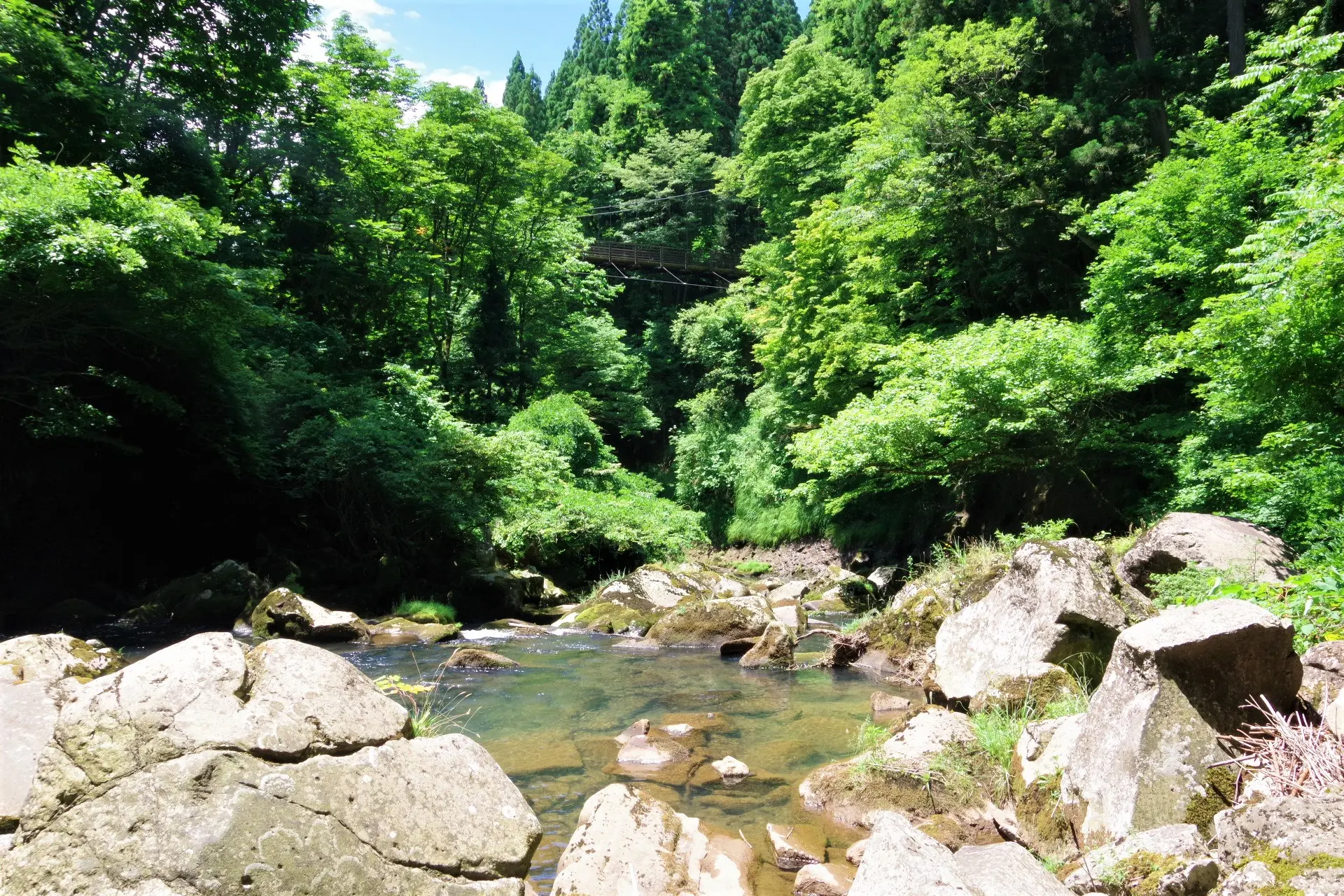 奈曽の白滝