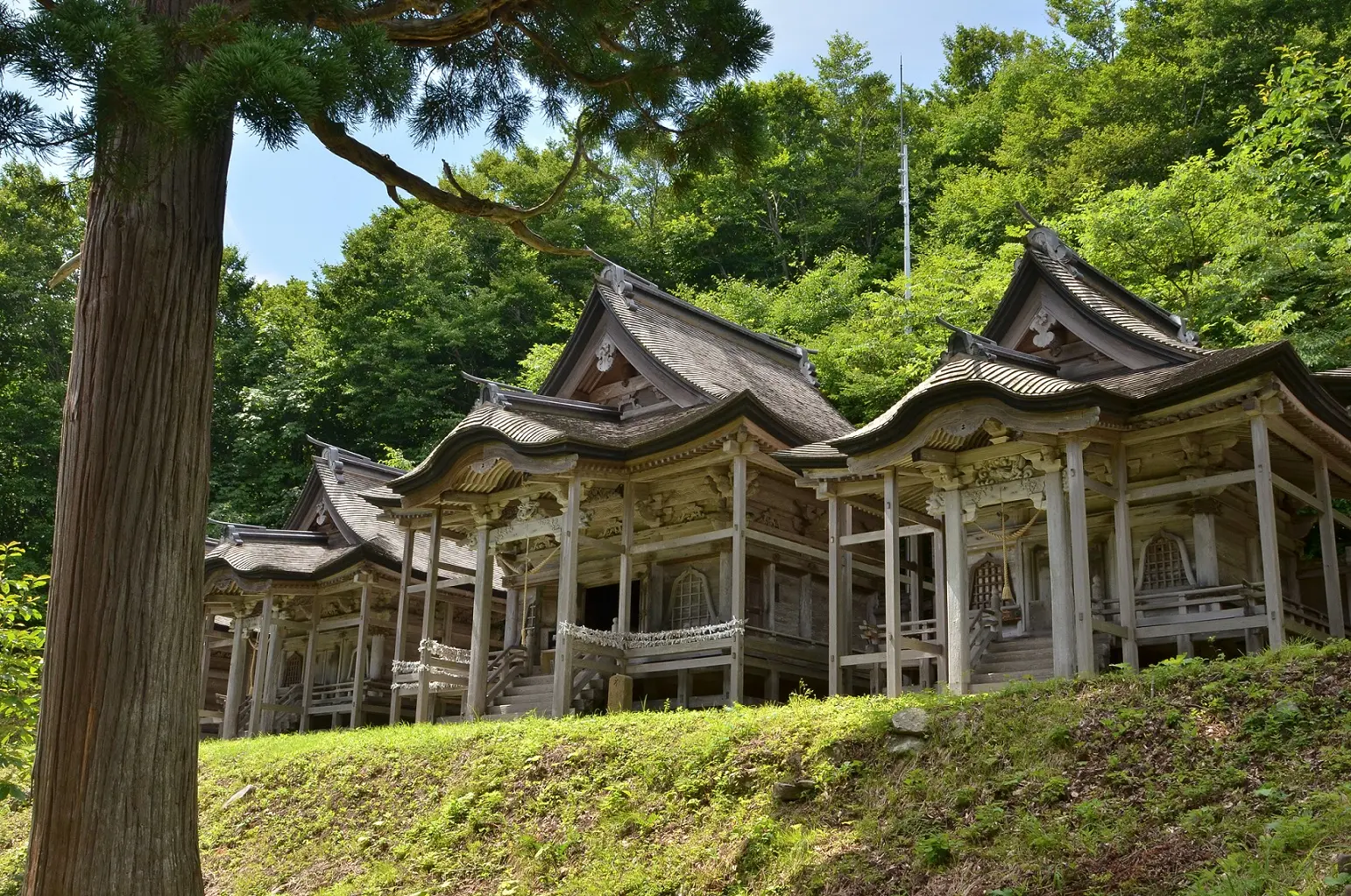 赤神神社 五社堂