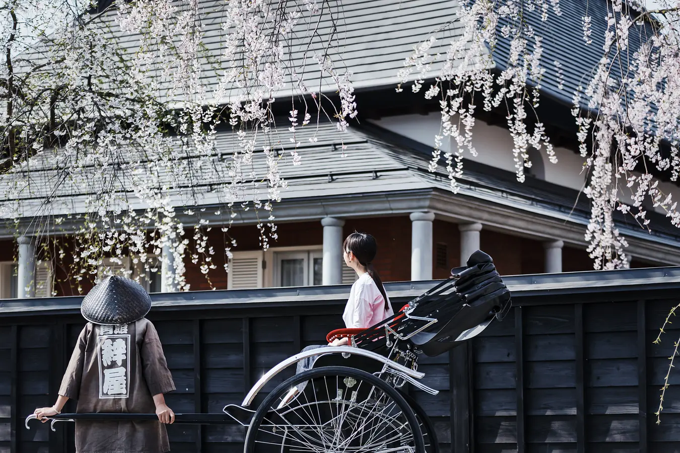 角館・武家屋敷通りの桜と人力車