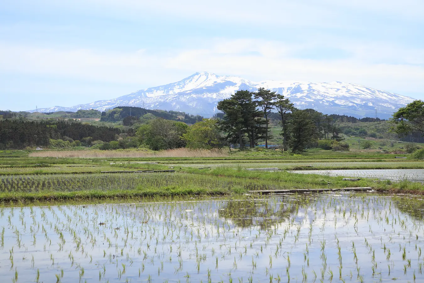 05鳥海山