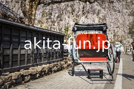 角館・武家屋敷通りの桜と人力車 2