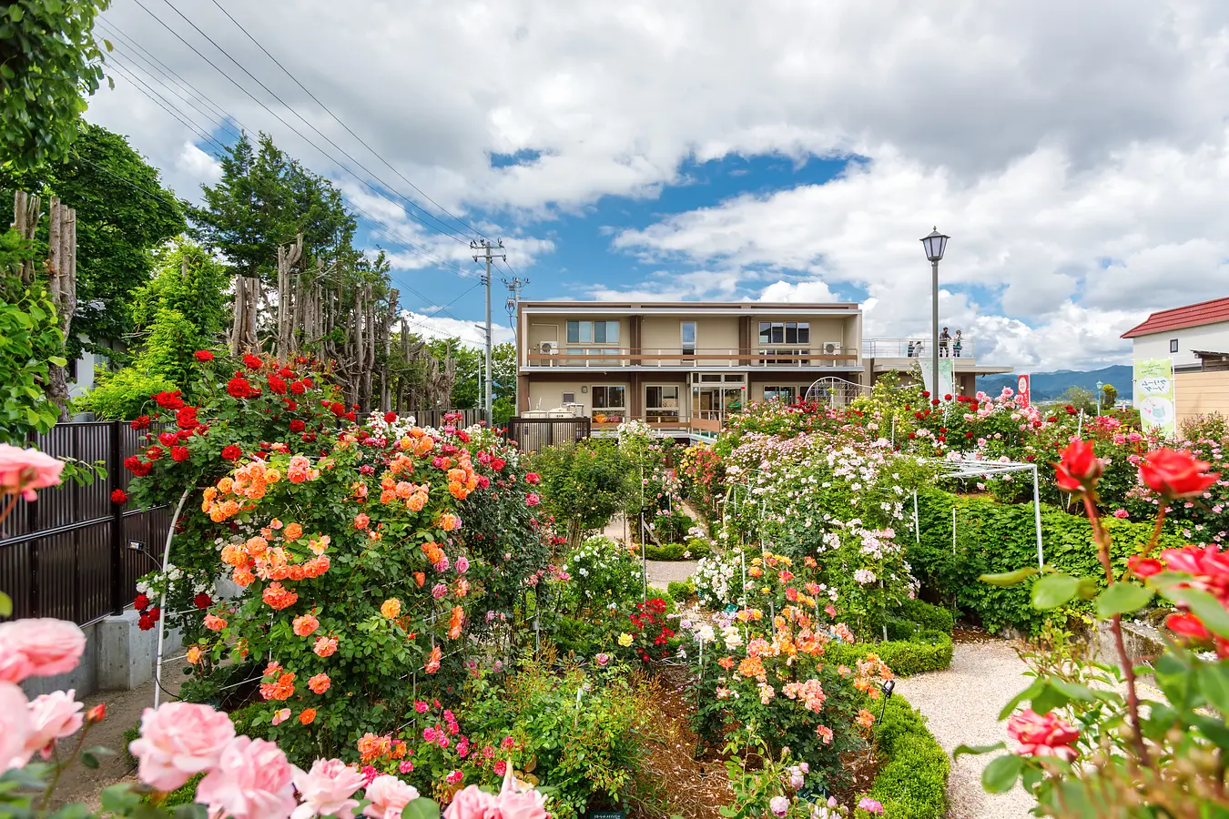 石田ローズガーデン 4