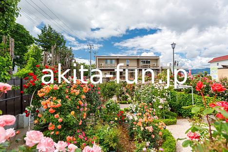 石田ローズガーデン 4